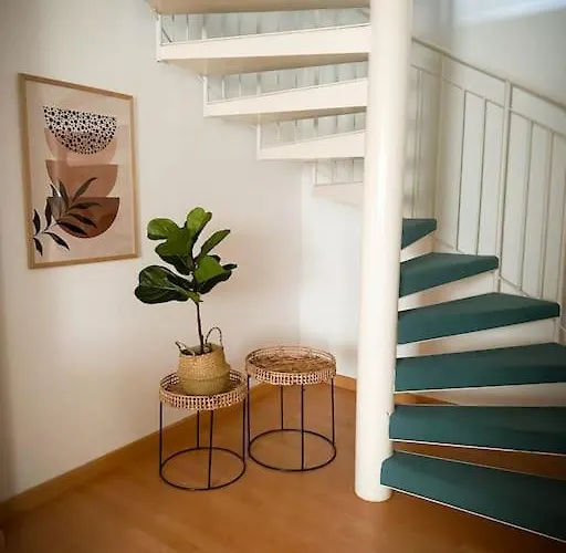 Appartement Erfurter Altstadtbrise Ii Erfurt